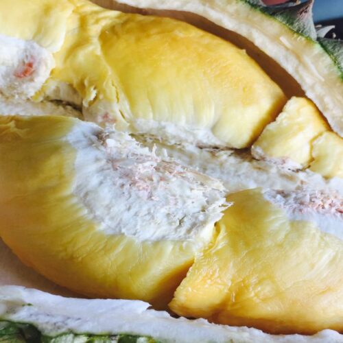 Exploring the Different Varieties of Durian. Taste of Thailand